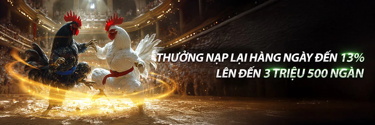 Đá gà trực tuyến 429winvn